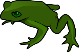 Frog vector art